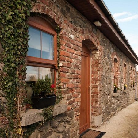 Drumnavaddy Cottage Dromore  Extérieur photo